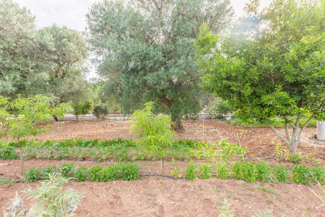 Villa Lamia Di Nonna Mena San Vito dei Normanni Exterior foto